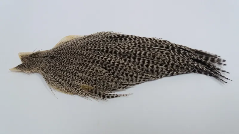 Whiting Hebert Miner Hen Cape in Grizzly Variant-3